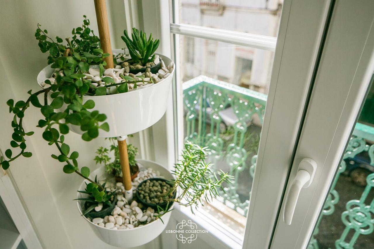 Appartement Very And Charming 60 By Lisbonne Collection Lissabon